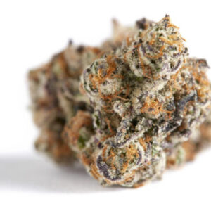 big chief gelato 33