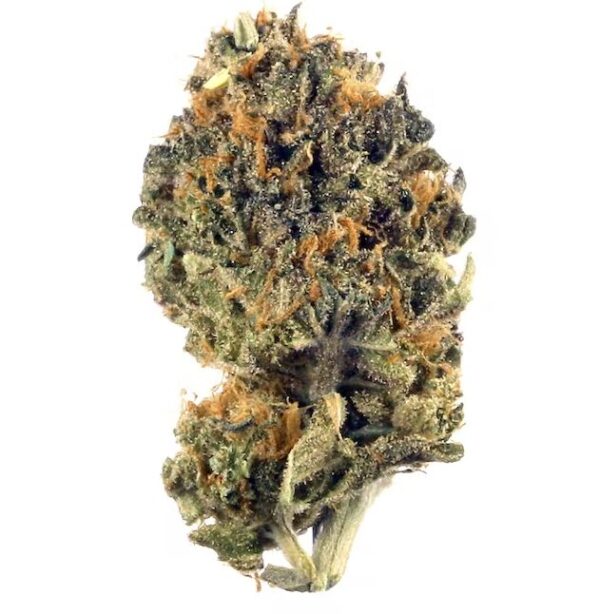 Pink Runtz Strain