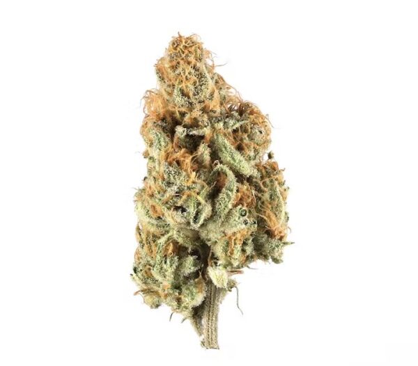 Motorbreath strain